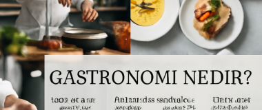 Tabii, lütfen bana promtu ver.